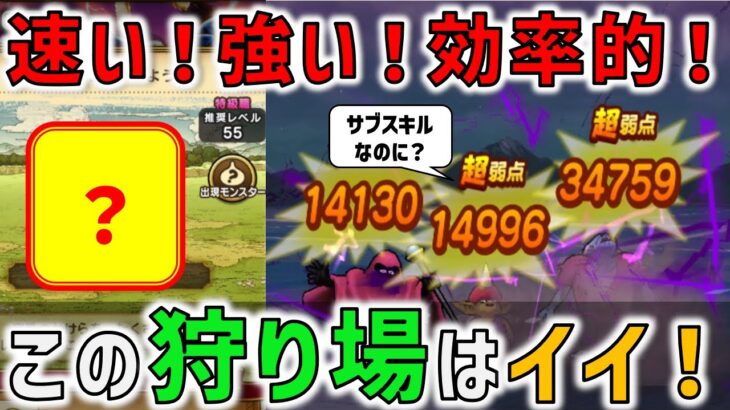 【ドラクエウォーク】この狩り場はイイ感じ！！！狩り場の選定、考え方を見直します。