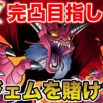 【ドラクエタクト】決めました!! 私は全ジェムを使って追います、完凸目指します!!【ドラクエ】