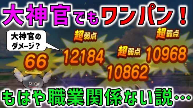 【ドラクエウォーク】大神官でワンパンレベリング！？こうなったら、職業何でもいいんじゃないか説・・・