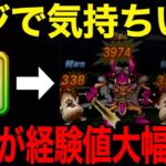 １５章１０話快適周回！この組み合わせ最高でした【ドラクエウォーク】【ドラゴンクエストウォーク】