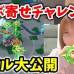 リアルにツボ寄せのやり方お見せします！１つ寄せるのに消費した導きのつばさの個数は？？【ドラクエウォーク_vol.194】