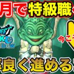 【ドラクエウォーク】1ヶ月で特級職へ!! 最高のスタートが出来るレベリングのコツまとめ【DQW】