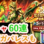 【ドラゴンクエストウォーク】ドランゴガチャ、他合計60連　ギガパレス戦も！！