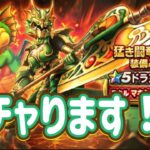 ドランゴ装備をガチャります！【ドラクエウォーク】