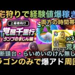 【ドラクエウォーク】ゴールドと経験値両方爆アドで千里行がもっと楽しくなる！！！ 覚醒千里行ランプのまじん をドラゴンのみで周回したパーティー紹介【ドラゴンクエストウォーク】