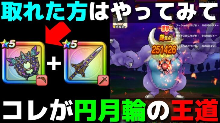 【ドラクエウォーク】コレが円月輪の王道スタイル！復刻で取れた方は是非この使い方を試してみて下さい。