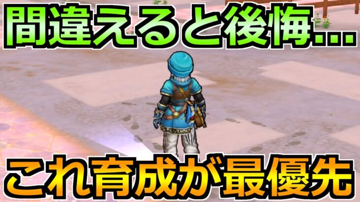 【ドラクエウォーク】今の環境はこれが最優先です！最新の育成優先度と方針について！