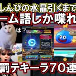 しんぴ引くまで猫ミーム語以外お喋り禁止‼ドラクエウォーク罰テキーラガチャ【#36】