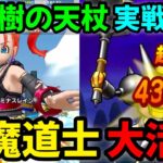 【ドラクエウォーク】【キラーマジンガ】世界樹の天杖実戦投入、大魔道士大活躍！【DQウォーク】