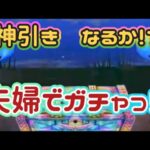 【ドラクエウォーク】【DQWガチャ】世界樹シリーズ好きだからっ！当てたい杖・夫婦でガチャ！