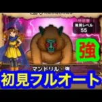 ほこら　マンドリル・強　初見フルオートで攻略したーい。【ドラゴンクエストウォーク】
