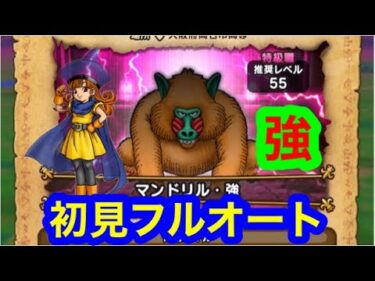 ほこら　マンドリル・強　初見フルオートで攻略したーい。【ドラゴンクエストウォーク】