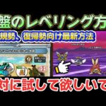 【ドラクエウォーク】序盤や中盤でのおすすめレベリング方法をご紹介します！導きのかけら集めもレベル上げも一気に強くなれます！【DQウォーク】