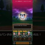 #ドラクエウォーク 【無課金】あらくれパンダこころＳ入手 #game