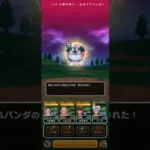 #ドラクエウォーク 【無課金】あらくれパンダこころＳ入手 #game