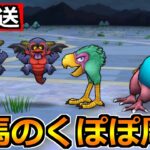 【ドラクエウォーク】群馬のくぽぽを周回しながら久々の日曜日生放送！