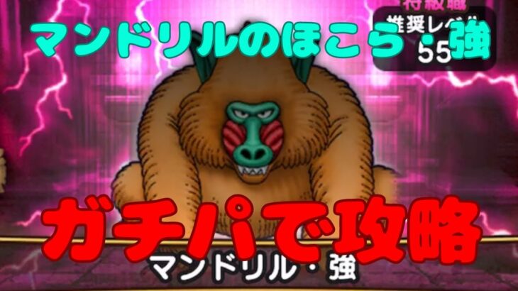 【ドラクエウォーク】ほこらマンドリル・強をガチパーティで攻略