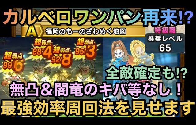 【ドラクエウォーク】闇竜のキバ無しでも全敵確定ワンパンが余裕になる⁉︎ 福岡のもーの地図でのカルベロビュートワンパン周回法【ドラゴンクエストウォーク】