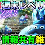 【ドラクエウォーク】キャンペーン内容共有しつつ、週末レベリング着手!!【DQW】