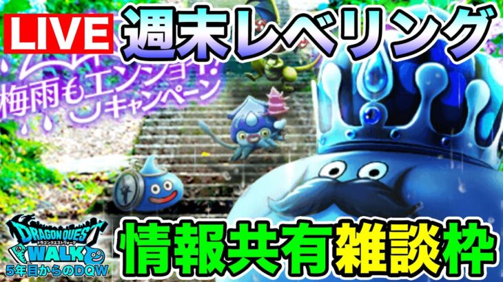 【ドラクエウォーク】キャンペーン内容共有しつつ、週末レベリング着手!!【DQW】