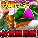 【ドラクエウォーク】血染め覚醒目指してひたすらランプ千里を手動で征く!!【DQW】