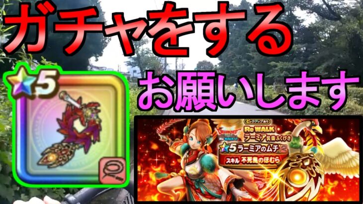 【ドラクエウォーク】狙いは ラーミアのムチ ガチャをする 【ラーミアの鞭ガチャ】【初心者】【攻略】【DQW】