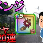 【ドラクエウォーク】ガチャ リベンジします ラーミアのムチを狙う 【ラーミアの鞭ガチャ】【初心者】【攻略】【DQW】