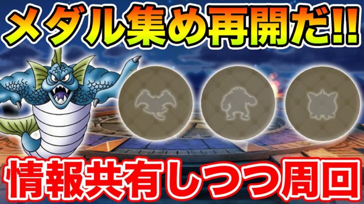 【ドラクエウォーク】メダル集め再開します!! 初日情報共有しつつ周回していく!!【DQW】