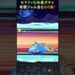 【ドラクエウォーク】水着セラフィガチャ！2024（有償含む）合計６０連！【DQウォーク】【サマーメモリー】2024年7月28日