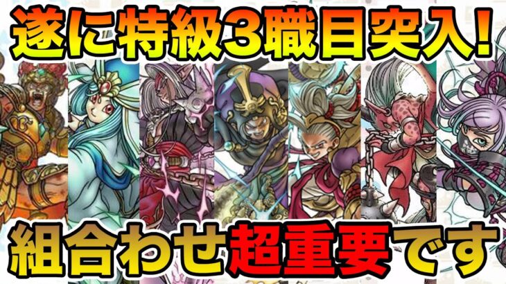 【ドラクエウォーク】育成が捗りすぎる神イベ!! 特級職の選び方と2職目以降について!!【DQW】