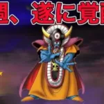 【ドラクエウォークLive】ほこらと6章周回しながら雑談。お気軽にどうぞ！