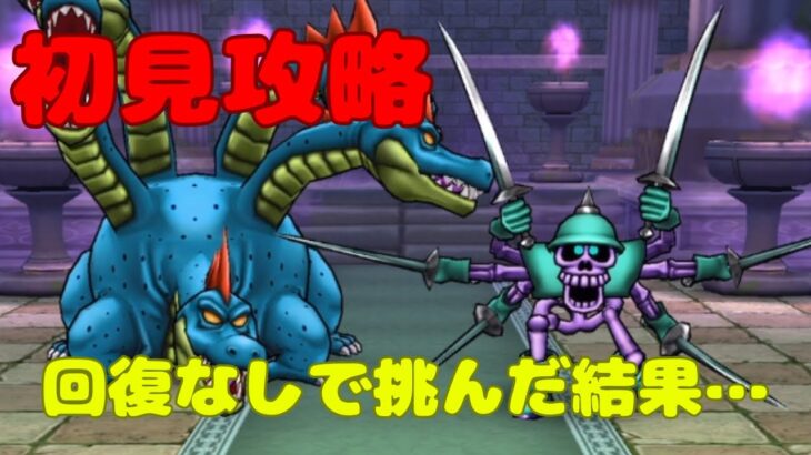 【ドラクエウォーク】ヒドラプラスのほこら初見攻略！回復なしで挑んだ結果…