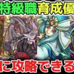 【ドラクエウォーク】最新特級職の育成優先度！この構成だけでほぼ全て攻略できるテンプレ最強パーティです！新規勢さん初心者さんオススメです！【DQウォーク】