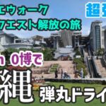 【DQW】Peachの0博を使って大阪から沖縄へ弾丸日帰りドライブ旅！