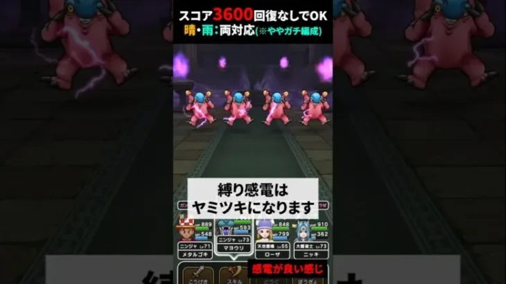 【ドラクエウォーク】てんきのほこら３６００!晴れと雨どちらも対応！天地雷鳴士入れてみた【ブルーイーター】【レッドイーター】【てんきのほこら】2024年10月8日