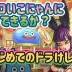 【ドラクエウォーク】【DQW】なぞるだけ〜って言われても〜激トロこにゃんの　はじめてのドラけし！フザケてません真剣ですッ！