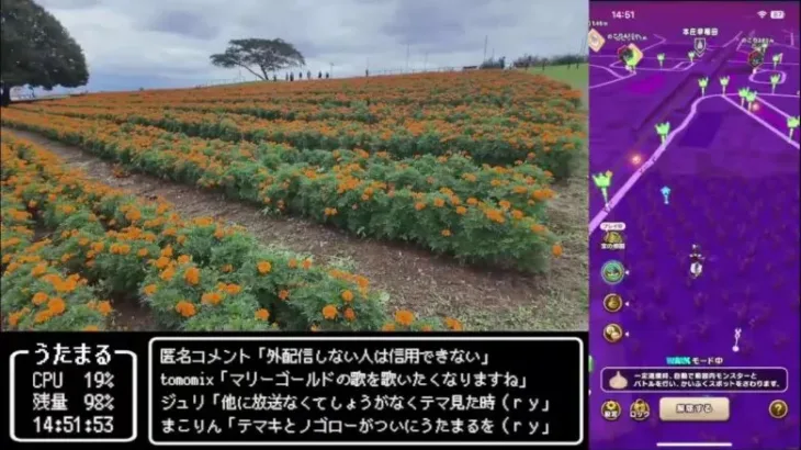 【ドラクエウォークLive】5周年魔王復活イベント第５章とメガモン「魔王ラスヴェーザ」と本庄のマリーゴールドの丘さんぽ【ツイキャス同時配信】