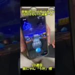 愛猫2匹にグリザードガチャ引いてもらった結果…ww #ドラクエウォーク #ドランゴンクエストウォーク #ガチャ