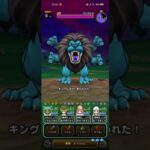 #361【ドラクエウォーク】メガモン、キングレオ討伐