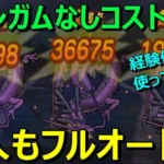 【ドラクエウォーク】グリンガムの三竜鞭なくてもコスト500以下で乱入もフルオートでいけます！経験値UPの心珠も使っているだと！？