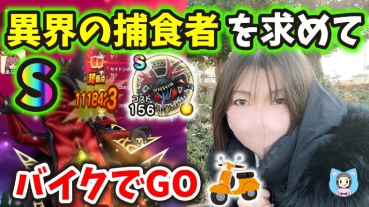 異界の捕食者Sを求めてバイクでGO!冬は寒さとの戦いナンだァーー！【ドラクエウォーク_vol.350】