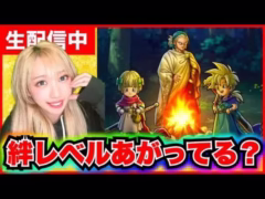 【ドラクエウォーク】絆レベル上がってますか？