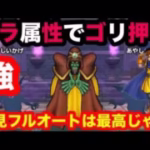 【ドラゴンクエストウォーク】ほこら　ネクロマンサー・強を初見、フルオート攻略したーい。