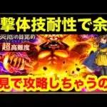 【ドラゴンクエストウォーク】厄災のめざめ　超高難度クエストを初見攻略したーい。