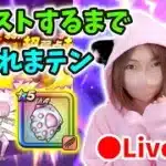 【ドラクエウォーク配信】カンストするまで眠れまテン！ぼうけん心珠開封＆にくきゅう20連も引くよ！【ひなさんゲ。】