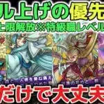 【ドラクエウォーク】特級職レベル上げのオススメ職業について！最優先で最強パーティを作るのが一番コスパ良く攻略も簡単にできるようになります！【DQウォーク】