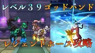 【ドラクエウォーク】如意棒持ちのレベル３９ゴッドハンドでレジェンドホースを攻略！安定はしません【DQW】