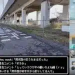 【ドラクエウォークLive】5.5周年記念WALKフェス ドラゴンボールコラボ第２章と新ギガモンとお花見さんぽ【ツイキャス同時配信】