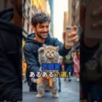 【ドラクエウォーク】主夫勇者の武闘家あるある７選！ #Shorts #猫 #ドラクエウォーク #あるある