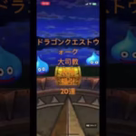 @syoku2n1 ドラゴンクエストウォーク 大司教装備福引 20連